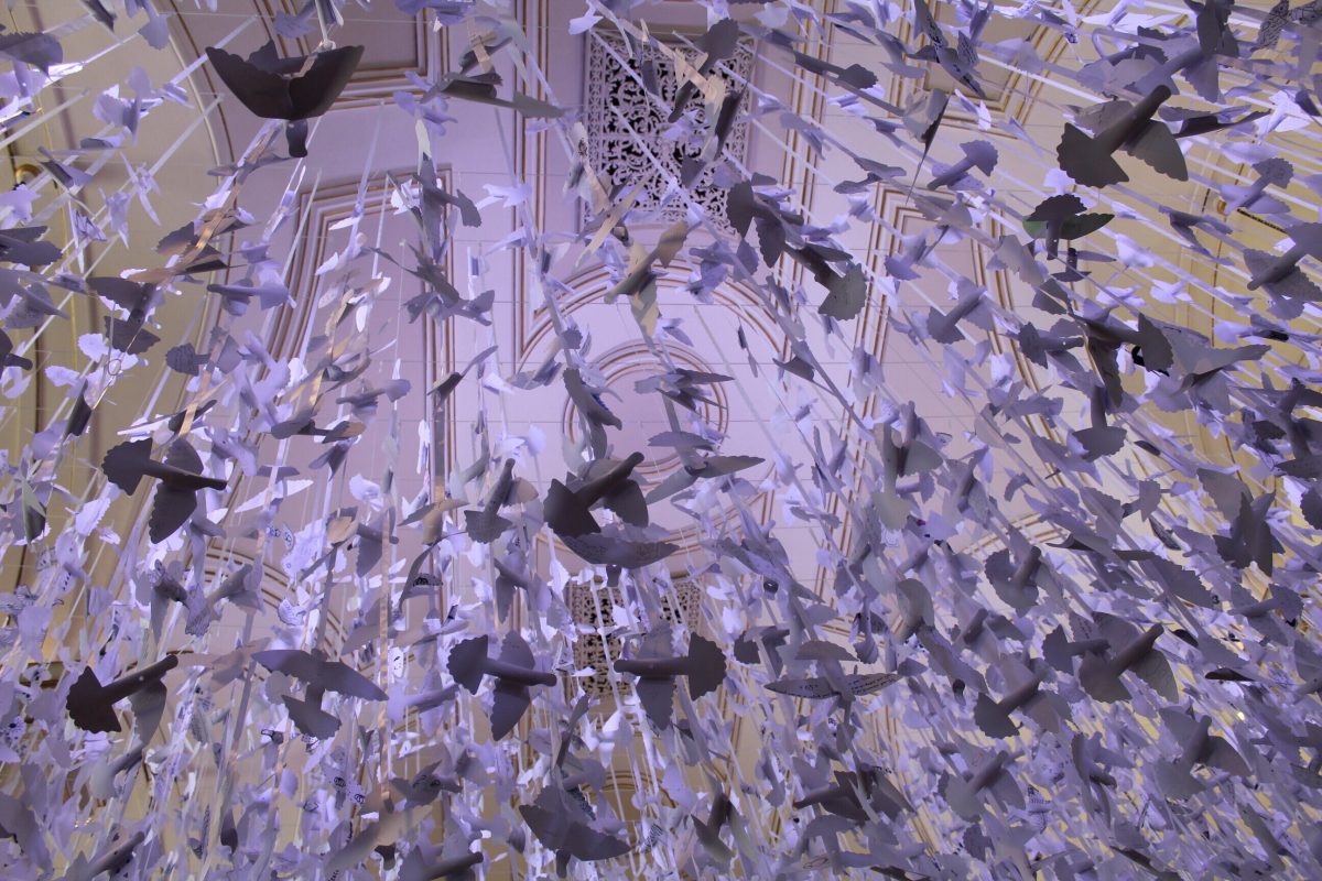 Peace Doves at Derby Cathedral