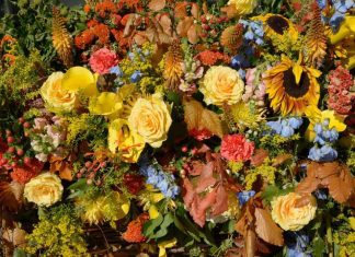 This is an image of flowers from the Chelsea Flower Show 2022