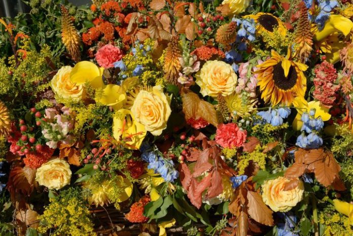 This is an image of flowers from the Chelsea Flower Show 2022