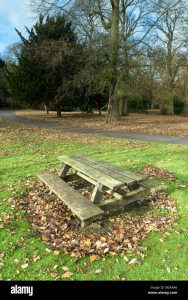 An image of a picnic bench in Markeaton Park